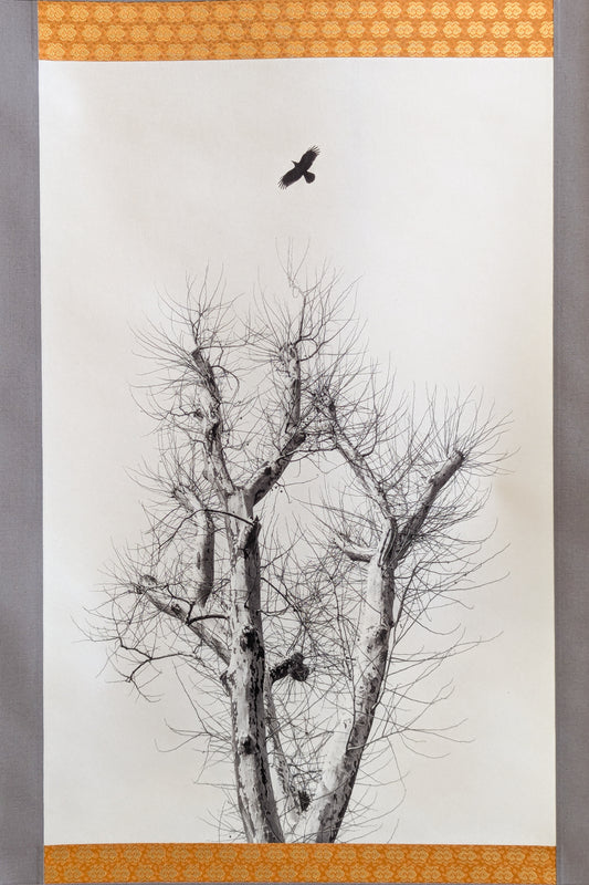 問/Tou - fotografía en kakejiku